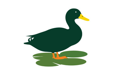 Duck vector and silhouette