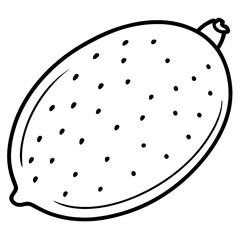 Stylized Finger Lime in Vector Form