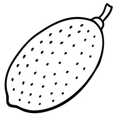 Stylized Finger Lime in Vector Form