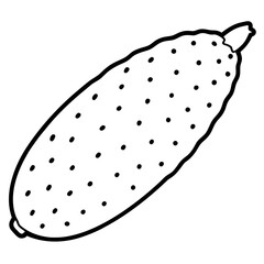 Stylized Finger Lime in Vector Form