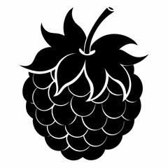 Thimbleberry Fruit in Black Silhouette Vector Illustration