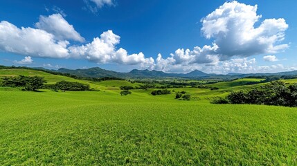 Fototapeta premium A photostock of vibrant rolling hills covered with golden rice terraces under a bright morning sky, showcasing lush greenery and harmony with nature. High Quality