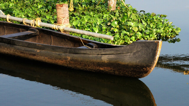 Traditional wooden boat parked in Vembanad lake at Thannermukkam, Kuttanad, Kerala, India
