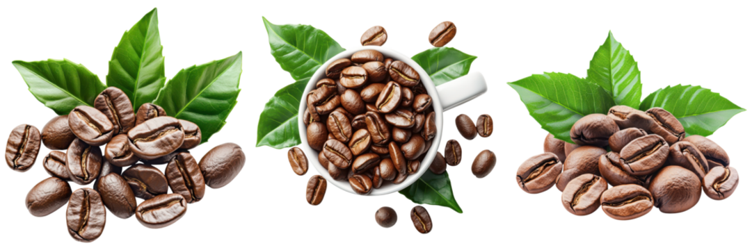 Fresh coffee beans with green leaves create vibrant, aromatic display