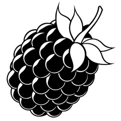 Blackberry line art art vector