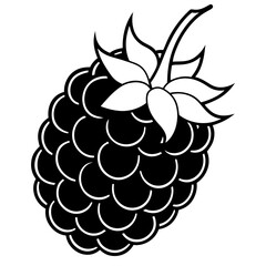 Blackberry line art art vector