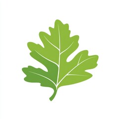 A single green leaf with prominent veins