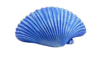 A Vibrant Blue Seashell with Ridges on a White Background Perfect for Coastal Themed Designs and Ocean-inspired Projects.