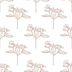 A floral pattern in 2025 colors displays wildflowers and branches on a transparent background, featuring hand-drawn mallow and leaves, ideal for wallpapers and fabrics. Mocha Mousse colors.