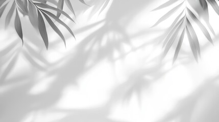 hadow overlay effect isolated on white background, png. Light and shadows from window. Mockup of white shadow overlay effect and natural lightning in room interior