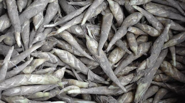 Raw Herbal Medicine roots. Raw material for making herbal medicines ready for sale. 