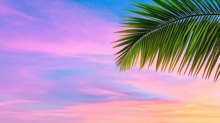 Vibrant sunset sky with pink, purple, and orange gradient