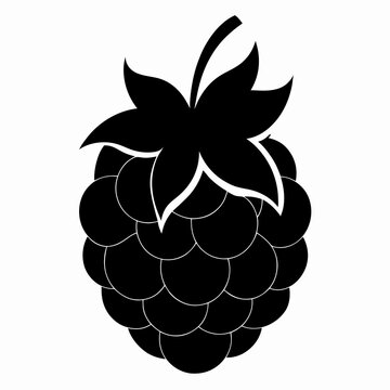 black blackberry fruit isolated on white clip art preview