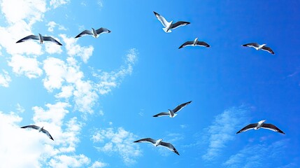 Fototapeta premium A flock of birds soaring through a bright blue sky with scattered clouds.