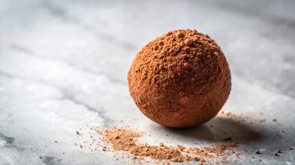 Chocolate truffle dusted with cocoa powder