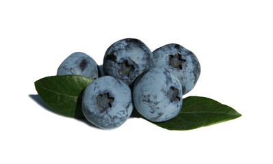 Blueberries isolated on white background. hard shadows. High contrast