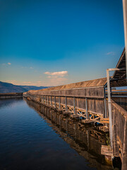 Old Tree Bridge over the Water to the Nature Reserve