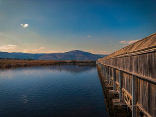 Old Tree Bridge over the Water to the Nature Reserve