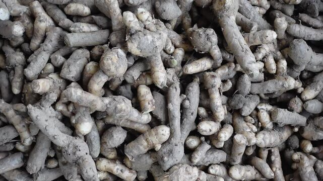 Raw Herbal Medicine roots. Raw material for making herbal medicines ready for sale. 