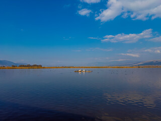 Old Tree Bridge over the Water to the Nature Reserve