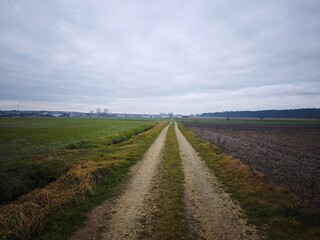 Naklejka premium road in the field