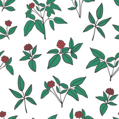 Ginseng branches with leaves and berries seamless pattern