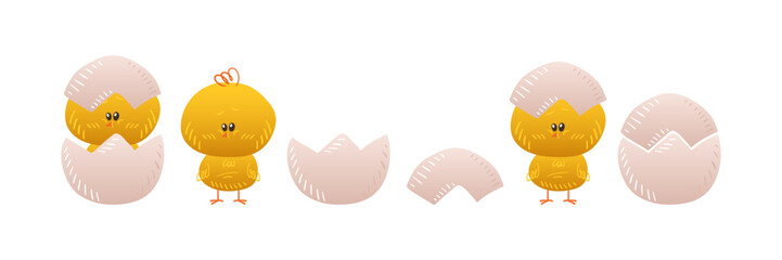 Cute yellow chicken. Little baby chick hatched from an egg. Chicken shell egg. Easter element. Vector cartoon illustration.