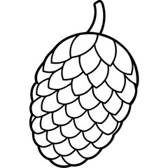 Elegant Salak Line Drawing in Vector