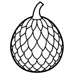 Elegant Salak Line Drawing in Vector