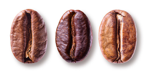 differently roasted coffee beans