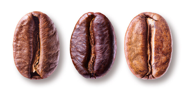 differently roasted coffee beans