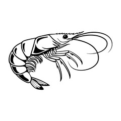 Shrimp Vector Style silhouette Art Design