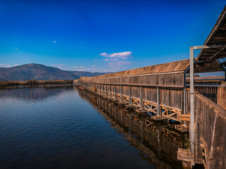 Old Tree Bridge over the Water to the Nature Reserve