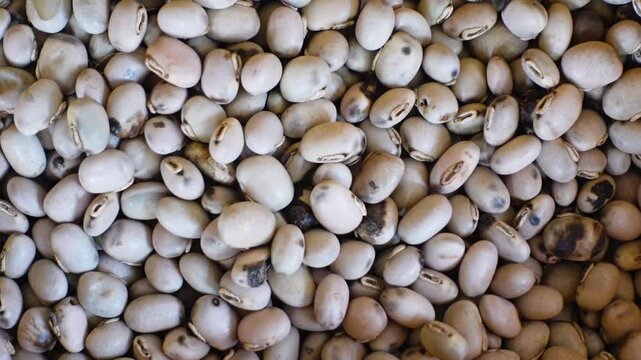 Dried herbal medicine seeds. Raw materials for making herbal medicines ready for sale. 