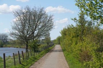 Fototapeta premium Scenic Pathway by the Water, Kaneelbermen Bellem, Flanders