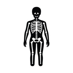 3d human skeleton