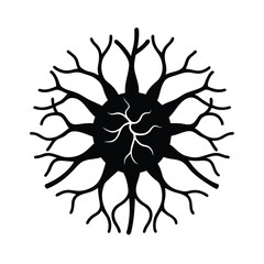 black and white flower