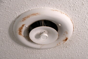 A rusty old, round air vent up on a popcorn ceiling.