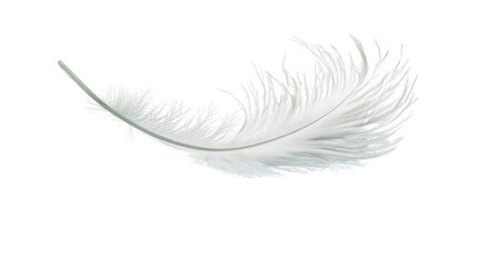 Obraz premium Elegant White Feather Isolated on Transparent Background