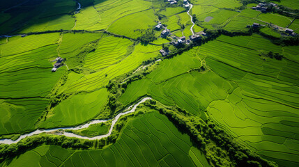 Lush Green Terrace Rice Fields with Irrigation Channels and Scenic Villages in Aerial View of Rural Landscape