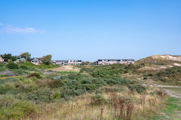 Dunes nature reserve with view of houses of the town of Egmond aan Zee