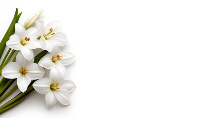 White Lily Bouquet: Delicate white lilies arranged in a simple yet elegant bouquet, perfect for adding a touch of purity and serenity to your design.  