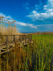 Trail with magical landscapes to nature