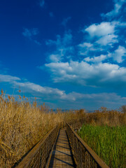 Trail with magical landscapes to nature