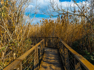 Trail with magical landscapes to nature