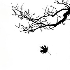 Outline of a leaf falling from a tree on a white background