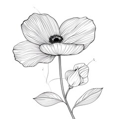 Fototapeta premium Outline of a flower in bloom on a white background