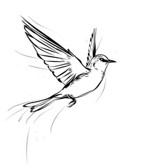 Obraz premium bird flying sun outline black light gray background