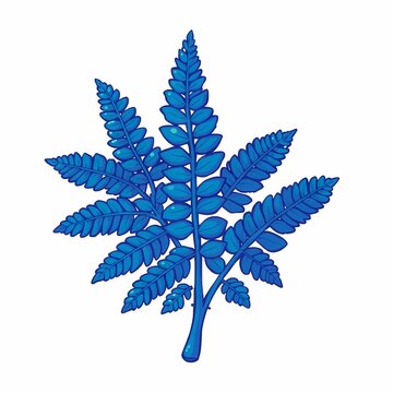 Blue Fern Illustration: A vibrant, stylized illustration of a blue fern frond, showcasing intricate details and a sense of organic beauty. Perfect for nature-inspired designs, botanical themes.