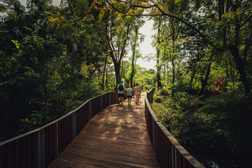 Obraz premium walk in the Chatuchak park, Bangkok